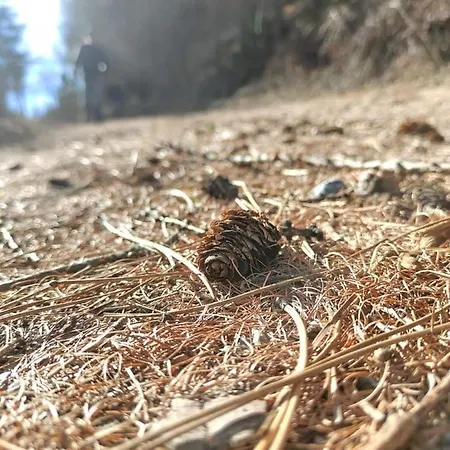 Baita In Montagna Excenex Arpilles Aosta *